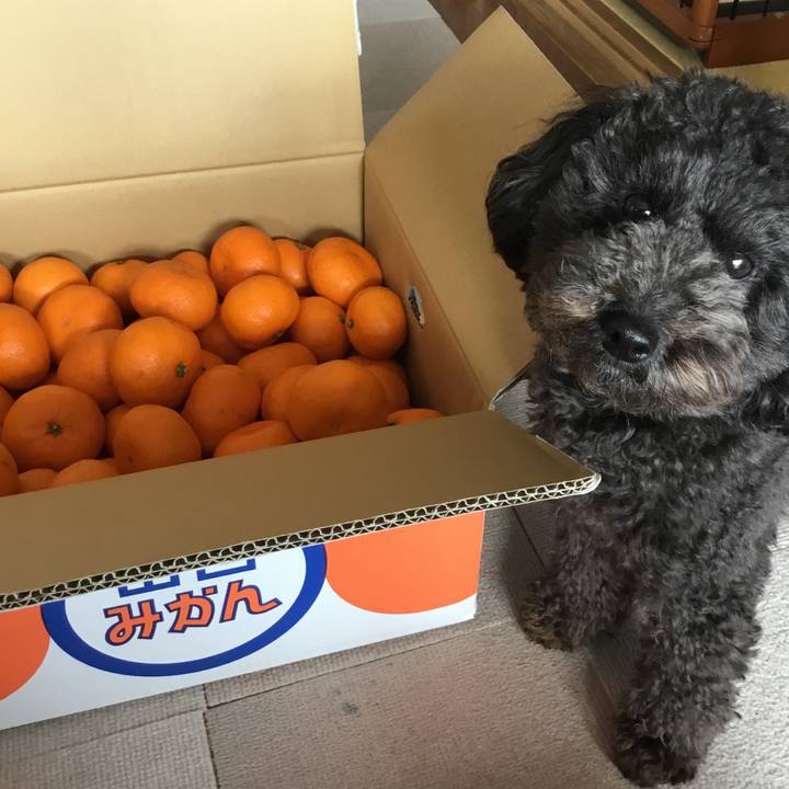 6aef51da c666 4c66 b340 753c9533e19a 1579917836226