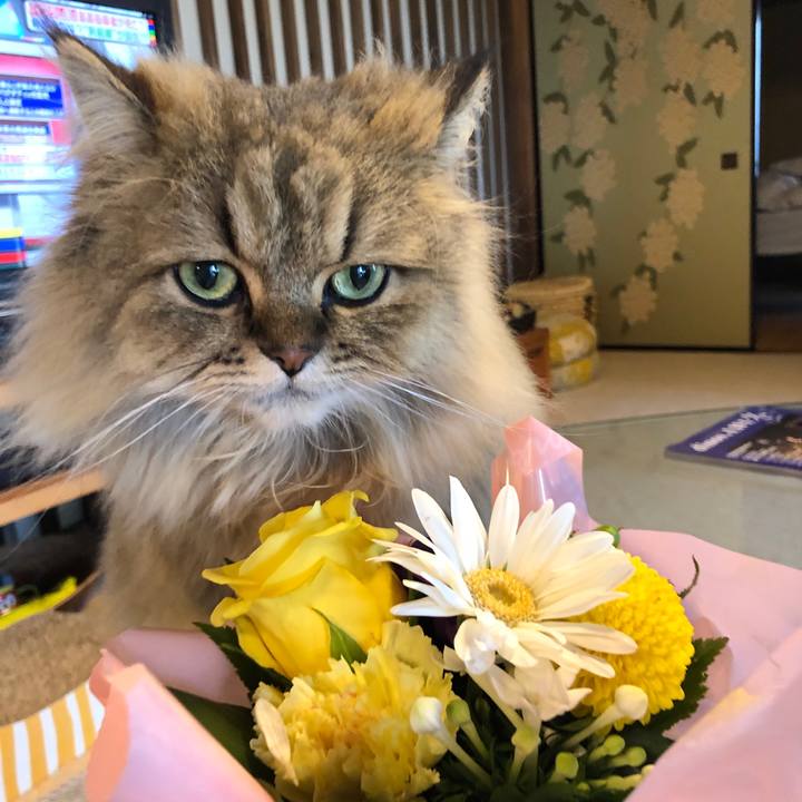 6aef5842 f7bc 43cb 8e8a 50afdde161a7 1572655979382