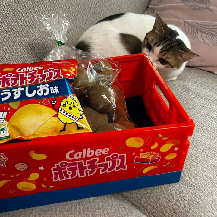 6aef6ab1 74ea 44f3 a6ab 86d9019a12f1 1761955001589