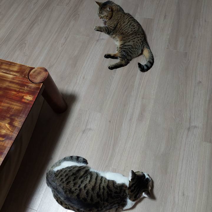 6aef6bfc 4cc7 4fb0 a2f9 d94ad7028ec9 1643833382669