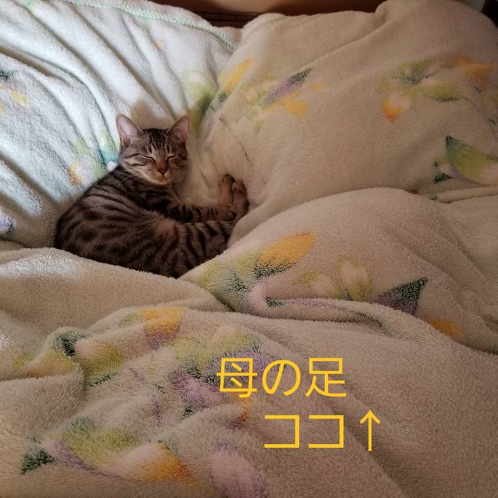 6aef7644 33b9 4a48 b0fa d7f724283585 1670724085297