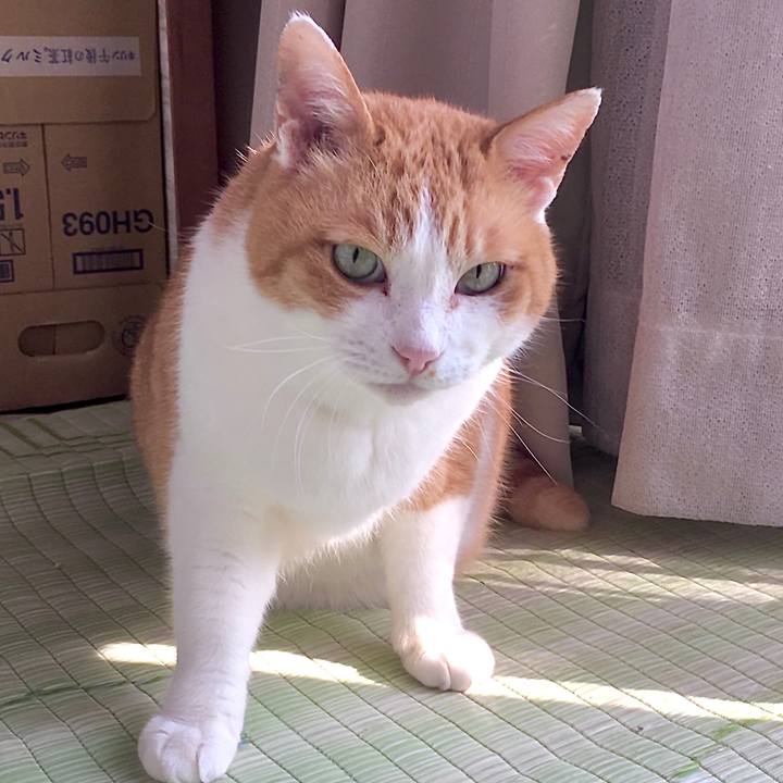 6aef8120 d376 4139 9bd9 cb5a6eb720ac 1587096226523