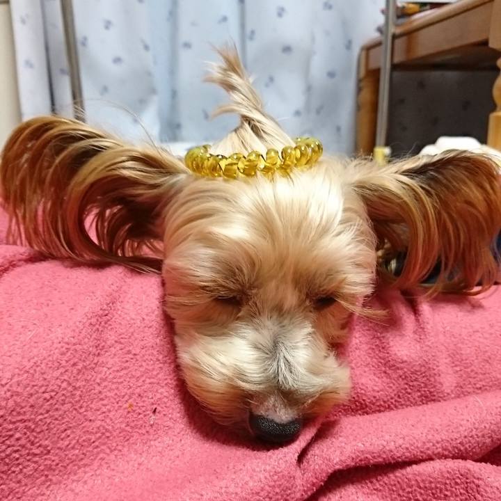 6aeffbe0 f261 4d93 9182 d40cb9d87d7f 1546690301392