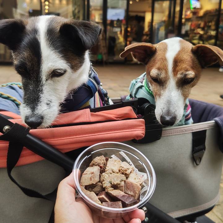 6af0223a e78f 4ab0 85f3 54544a891169 1760245397239