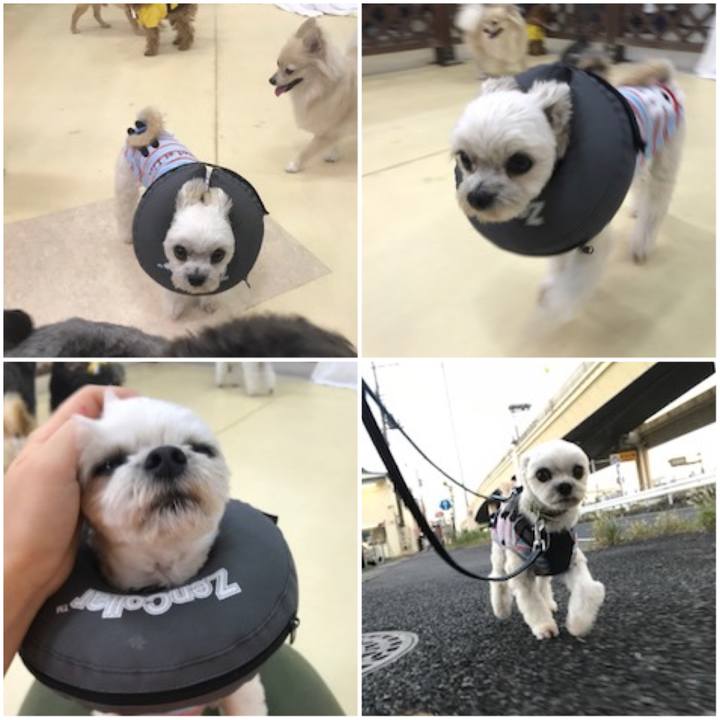 6af0384e cc71 4f57 9729 390b51089d6a 1573561757096