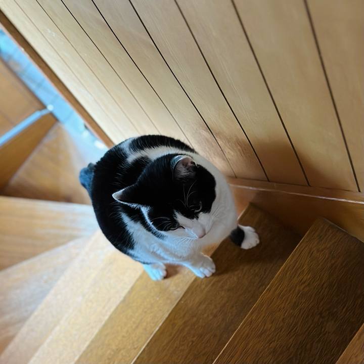 6af08274 361b 45cb 8766 85c6f69d0bd3 1678239233175