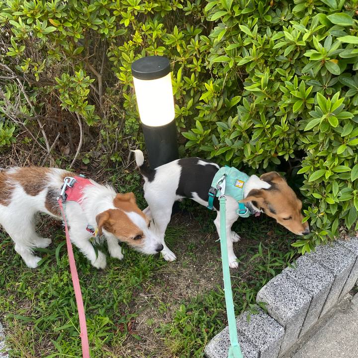 6af085a5 8d8e 4c47 8baf 1eb835c69b7e 1747917633641