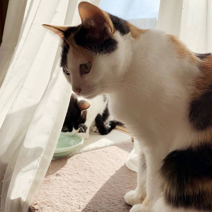 6af095b8 b607 47e6 ac3b f99a3bdad5f0 1543720244433