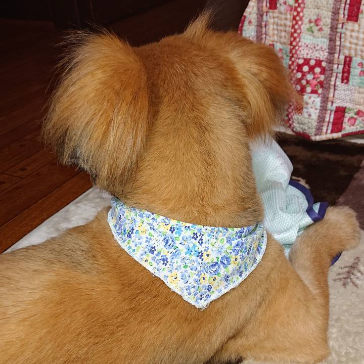 6af0babd 95af 4b91 abd1 b7c1a5d9b913 1558703767240