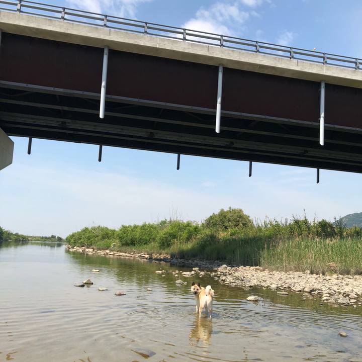 6af0bb52 b293 49ec 9337 033c4070c09a 1557644904682