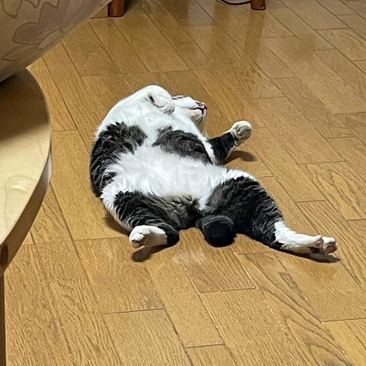 6af0c150 02fa 419c 88fb 70b17d030a20 1695522485568