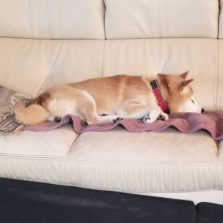 6af0d98e d4e6 446a b6c9 0b857e1982c3 1761612942863