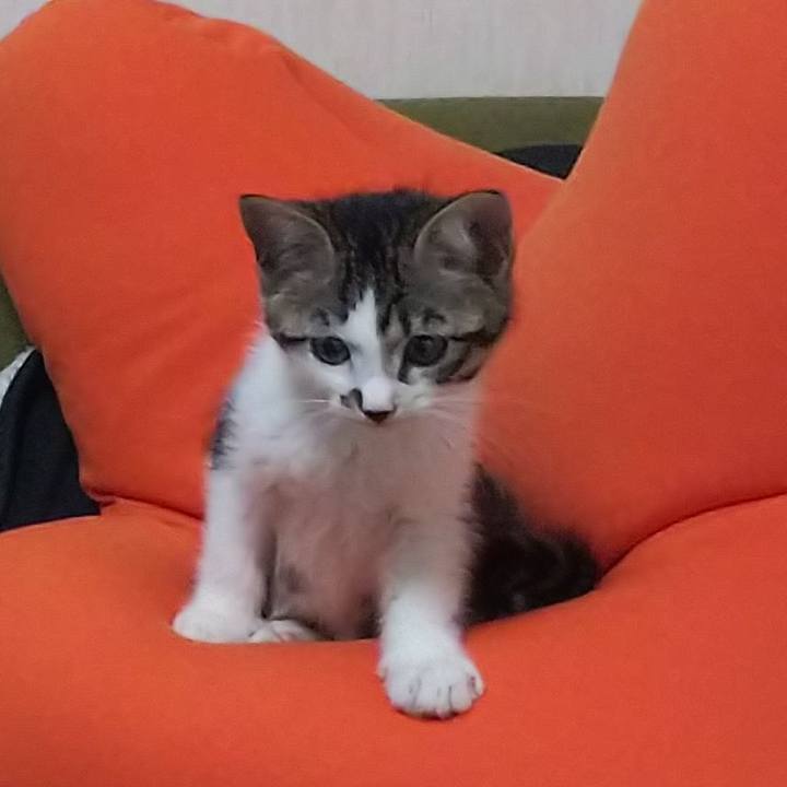 6af0dfac d240 46ce 9e85 f4afba942eda 1614938136498