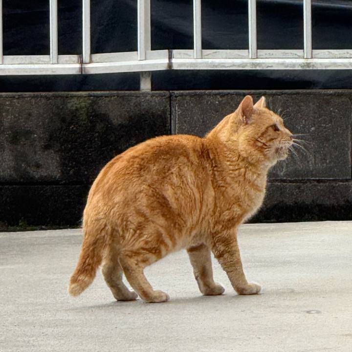 6af0fc61 23e4 467d 9a50 2085a7000788 1772073545612