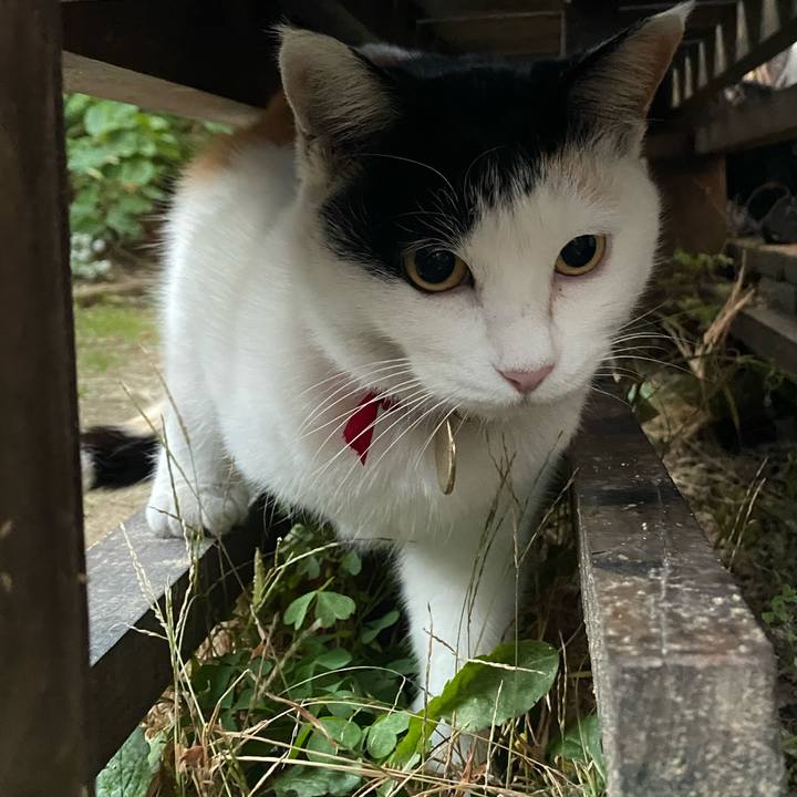 6af11a6d 10ef 4b3f b446 65e4c746695c 1640384659145