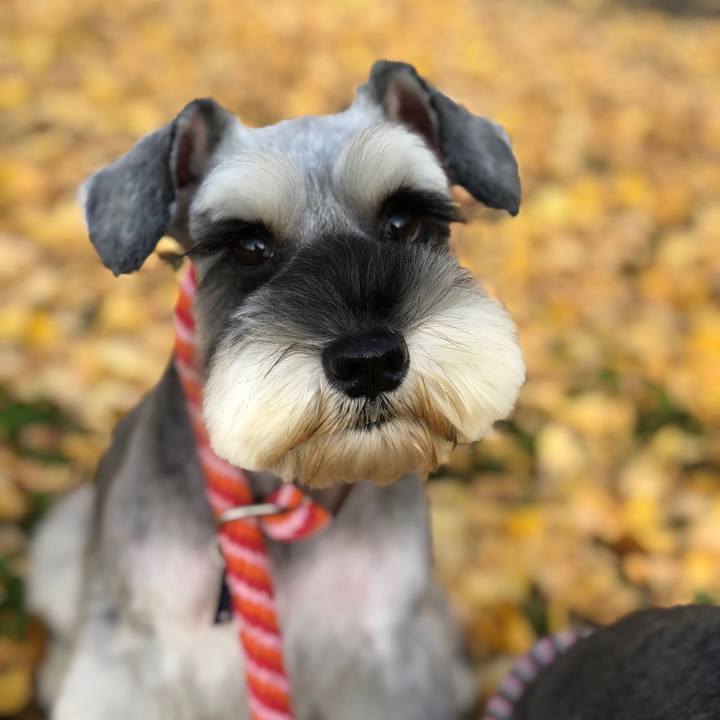 6af14ae7 6ef4 424d b9ce 7b1c7f24cbee 1542360137962