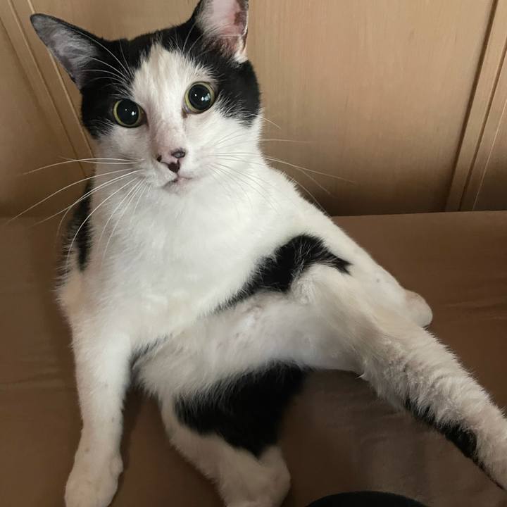 6af1594d 345f 44dd aab0 025f88a3f8e7 1623270272213