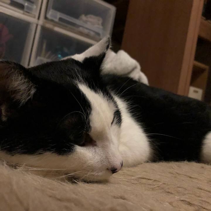 6af19c88 97e0 4729 afe5 5b72dd8043d1 1546685444086