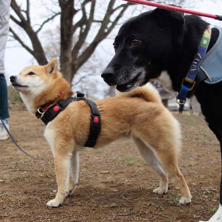 6af1b465 f4a6 49a1 864e 4de871fbd931 1711154466184