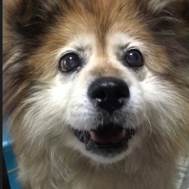 6af1caf2 513d 4f47 af9c bf76142c6801 1563111867038