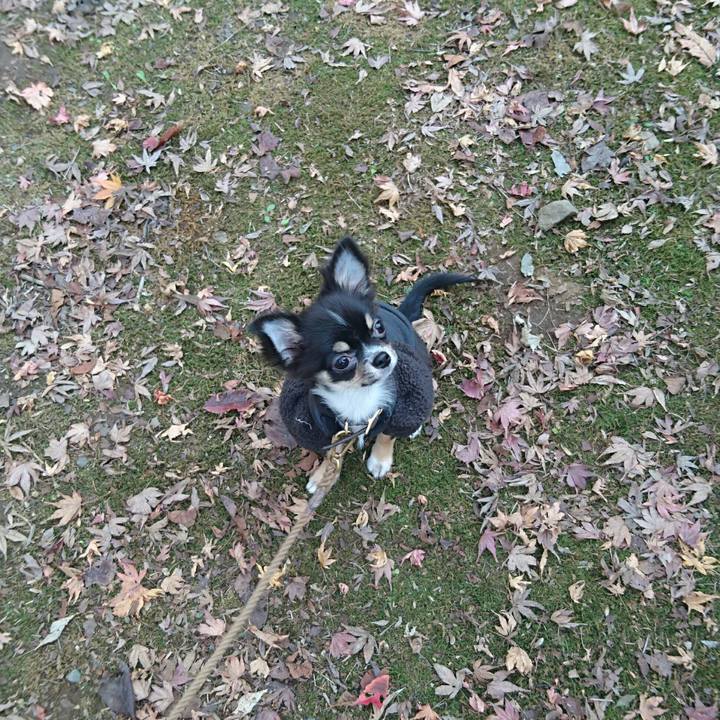 6af1e3d5 80a8 4653 9859 244872b63b18 1511327795014