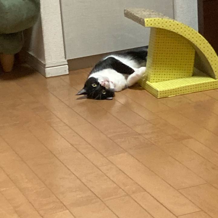 6af20f0d f786 4819 b489 dba39f03a263 1624191462236