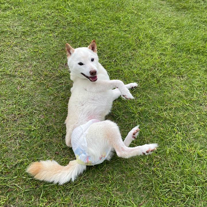 6af22ba2 d477 4c39 b828 c7775464ca3a 1664884598853