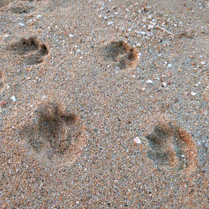 6af23c94 57f7 482a b133 97b6b8190a85 1768692771194