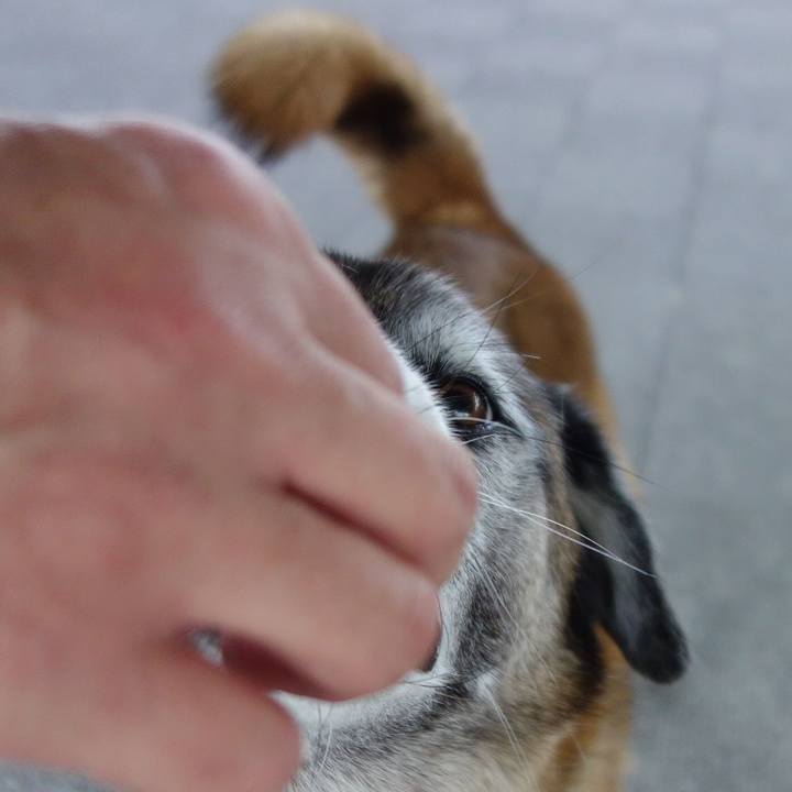 6af26683 8bb3 4184 9088 480eee551489 1565740743799