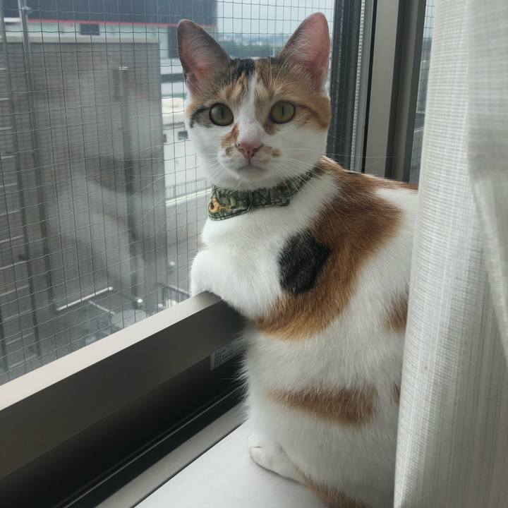 6af2ca57 c758 474b 88a2 cb690452bb40 1595898399412