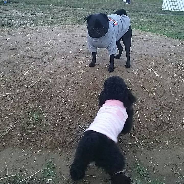 6af2e73b d9b3 4836 a511 4691ac9b29e9 1541919995969