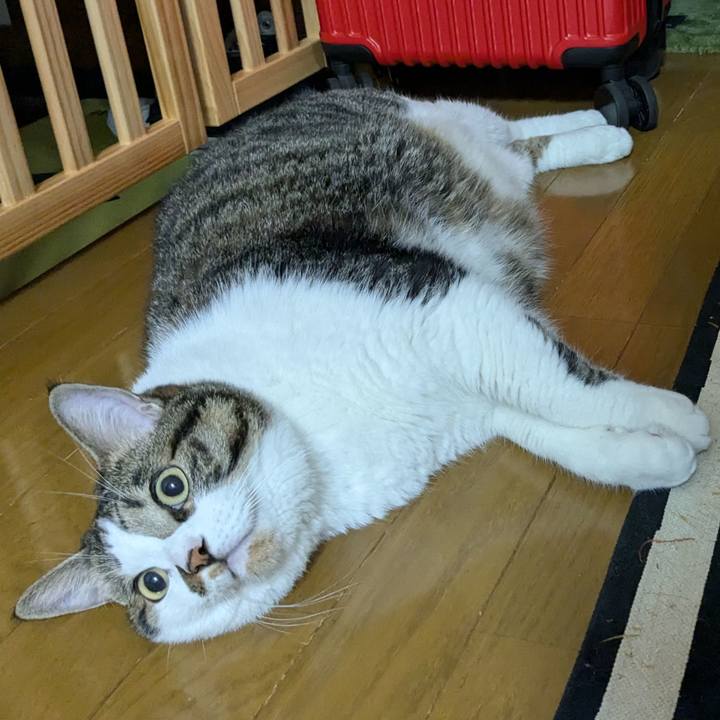 6af300a2 a560 4c36 8489 117806895acb 1727904211474