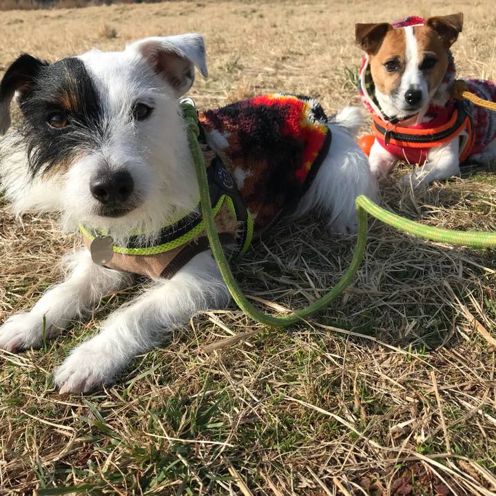 6af30986 b80d 4d8b a05d 27c258eeb907 1516499794528