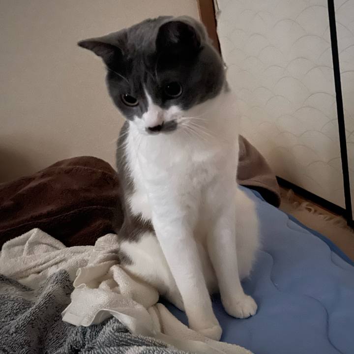 6af30b37 cbc5 450d 9640 47a7b20df7fd 1660856495853