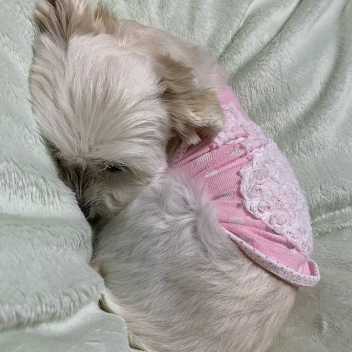 6af31145 16d9 45c7 be6f 2bc2bbeee792 1573217288186