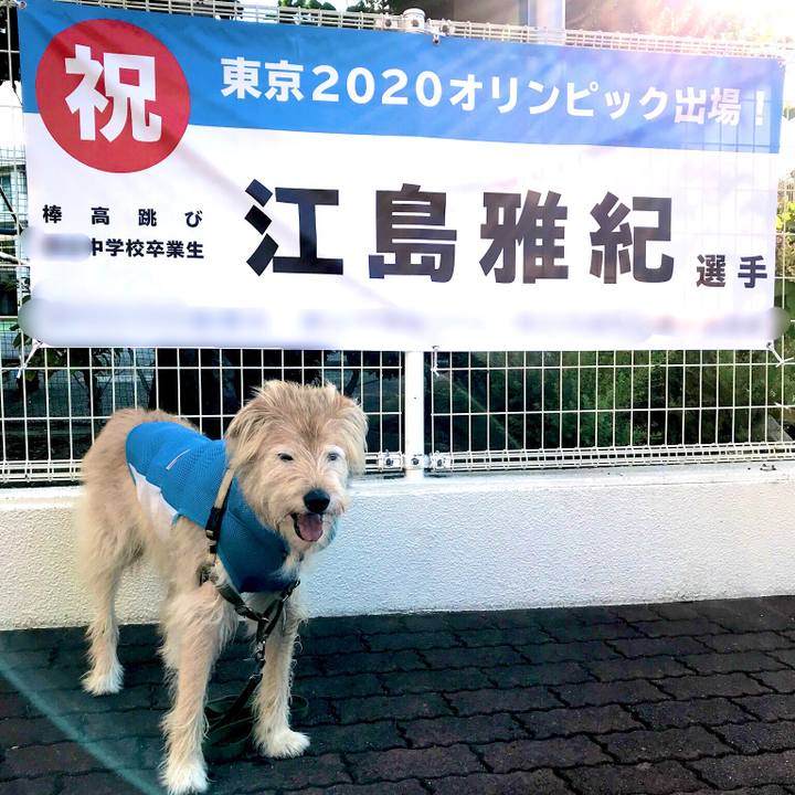 6af39da9 11e3 4620 ac58 58d3aaddbda9 1626826795933