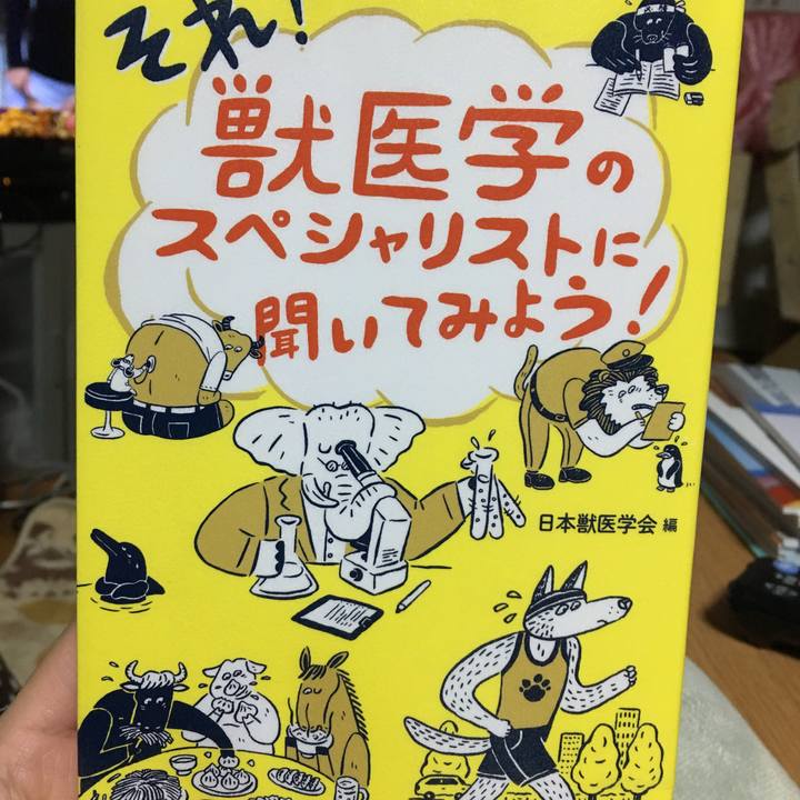 6af3a215 575c 4bf2 bc48 0c46c55be58a 1513469047516