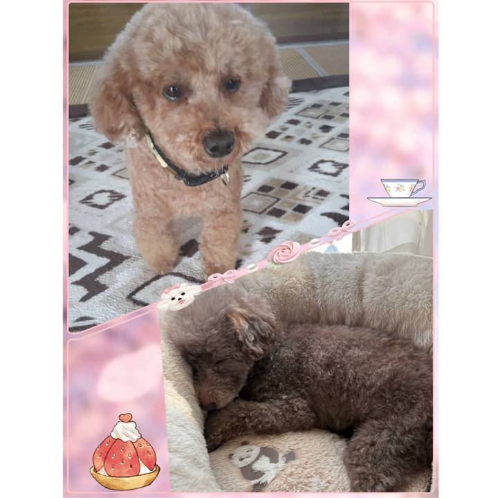 6af3b624 5a14 4450 92a7 b367b393b665 1774593507021