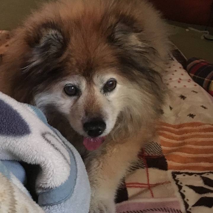 6af3c0ee ad80 4d55 8c5a bf46886a00fa 1626569540302