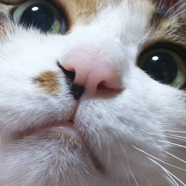 6af40689 ee94 4a36 9139 c313311a78c8 1552563269337