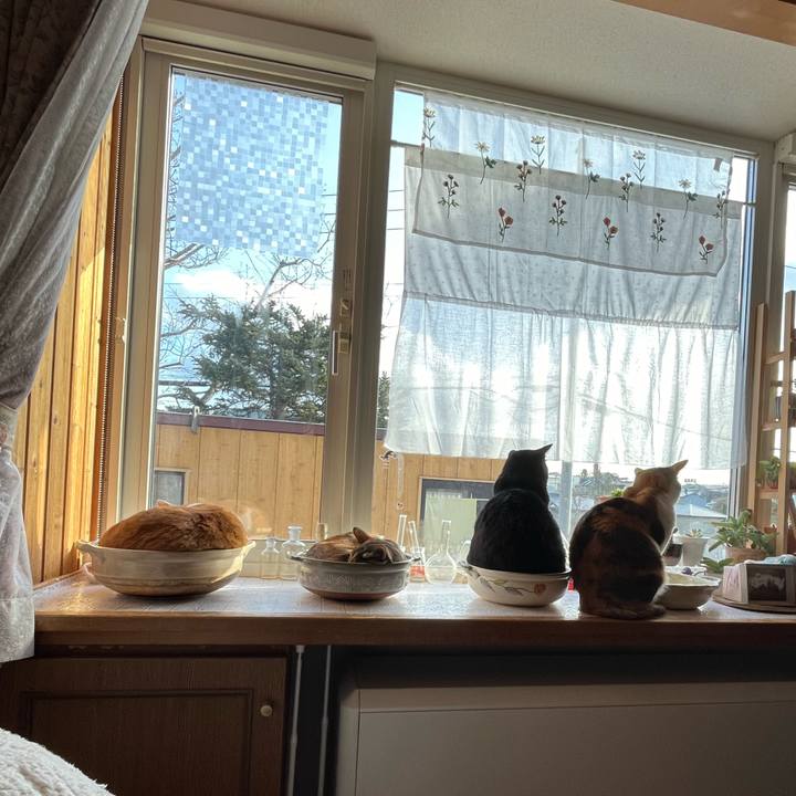 6af40ef9 879d 4269 986e 4235f5cec7f7 1701556256513