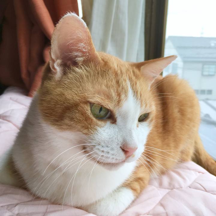 6af4988b 349b 497f ab8e 019d1fb49530 1566616472963