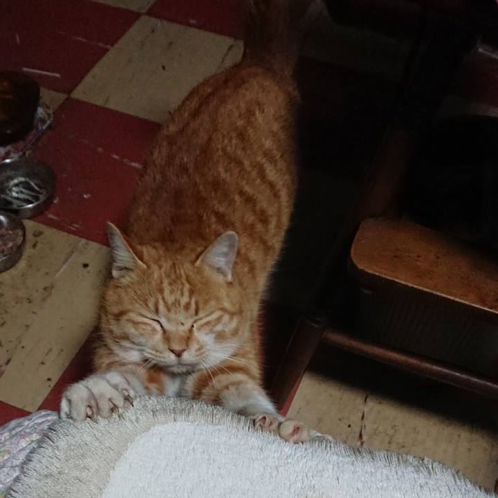 6af4a40a 1dfd 4308 bfc8 871dc47de294 1580413801488