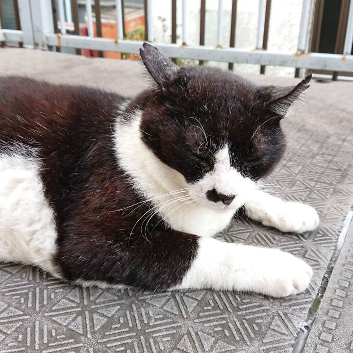 6af4ac2d 91ae 40a5 9564 c7c865be8330 1633416455433