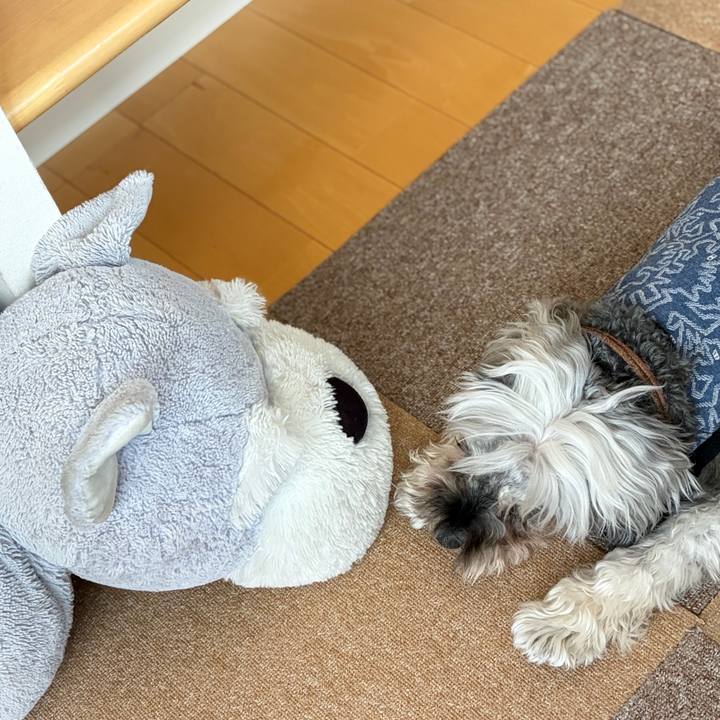 6af4eb70 071a 4f4c afa8 35fd1c63d25b 1774695609869