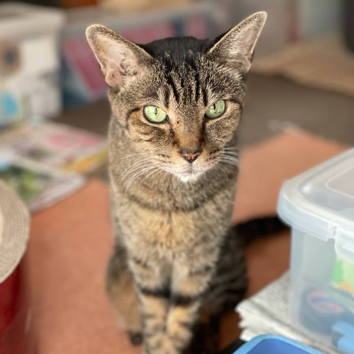 6af4efa2 3747 436f 8c78 eac72e2996b0 1627865141253