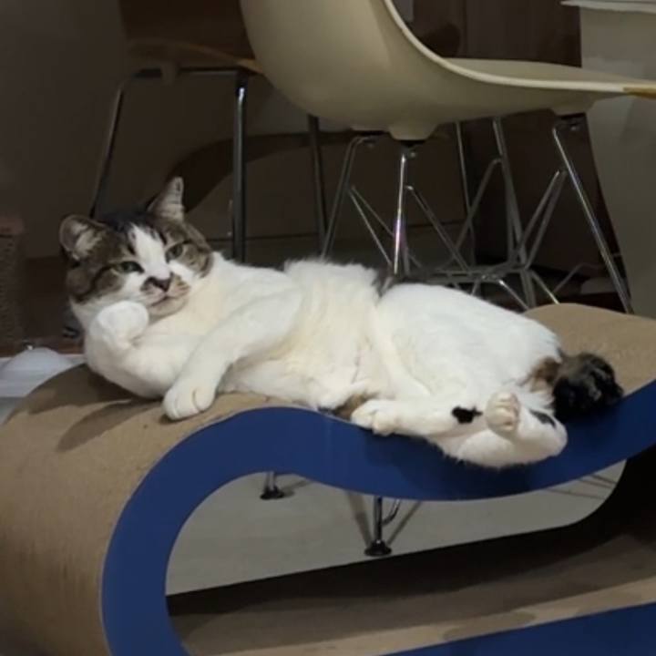 6af4fbe5 8d96 40f2 b5ca 4043dc9b95de 1773582436279