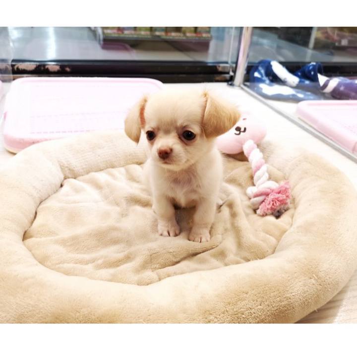 6af51bab 66e9 4726 bc35 9da705416aa9 1628682719286