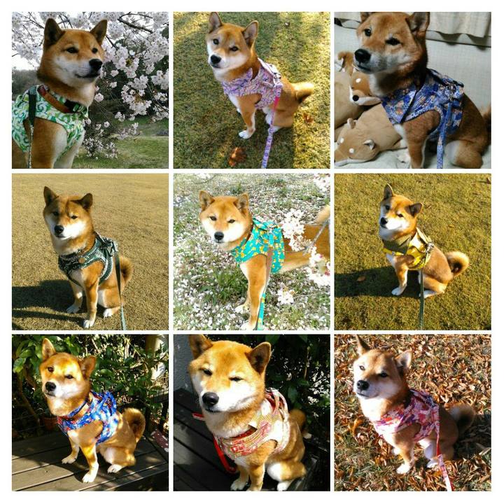 6af5884c 2ab8 4f3e 861f 45461e6eb1b5 1510187803288