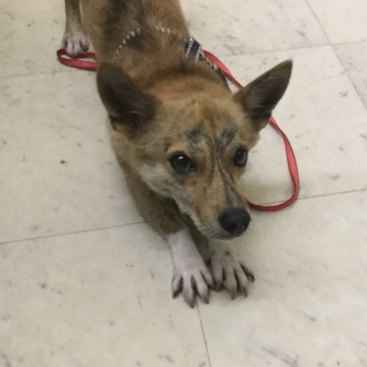 6af590b2 2601 4a60 bb58 926b1eeddd19 1554692978572